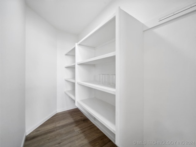 walk in closet featuring dark hardwood / wood-style floors