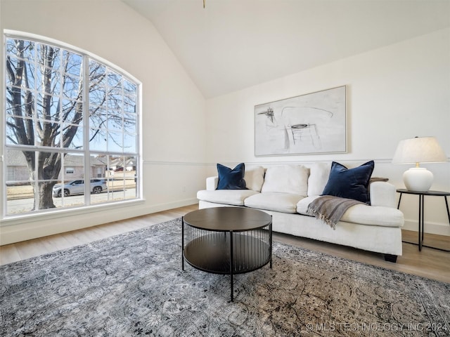 living room featuring wood-type flooring and vaulted ceiling