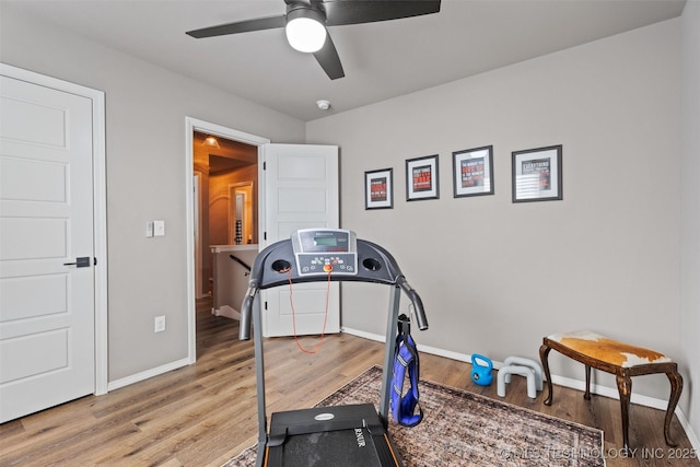 workout area with ceiling fan and hardwood / wood-style floors