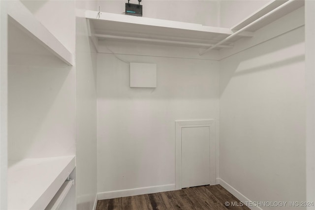 spacious closet featuring dark hardwood / wood-style floors