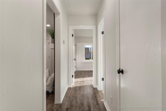 hall with dark wood-type flooring