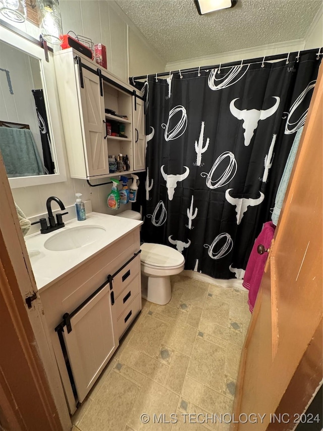 bathroom featuring vanity, a textured ceiling, and toilet