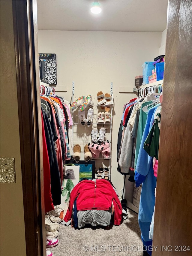 spacious closet with carpet flooring