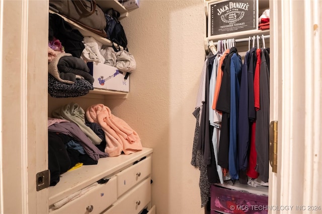 view of spacious closet