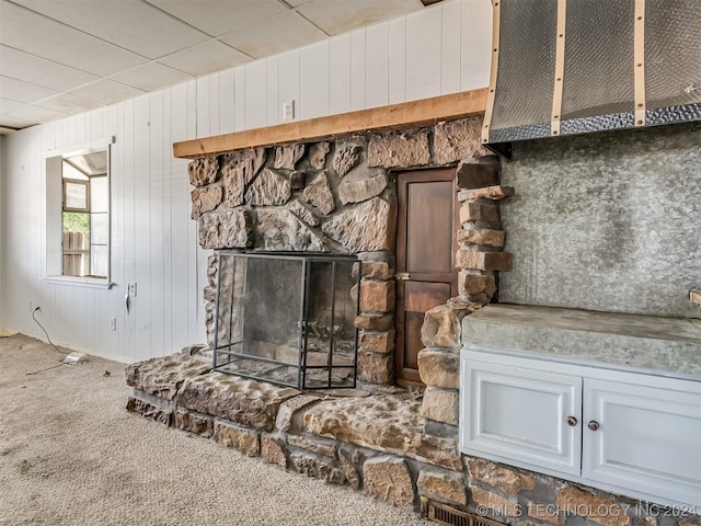 details featuring carpet flooring, a fireplace, and wooden walls