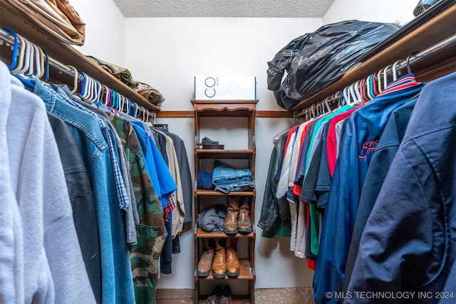 view of walk in closet