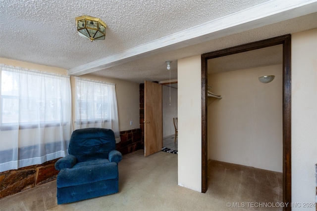 living area featuring carpet flooring and a textured ceiling