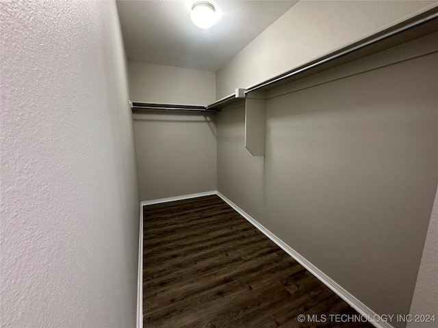 spacious closet featuring dark hardwood / wood-style floors