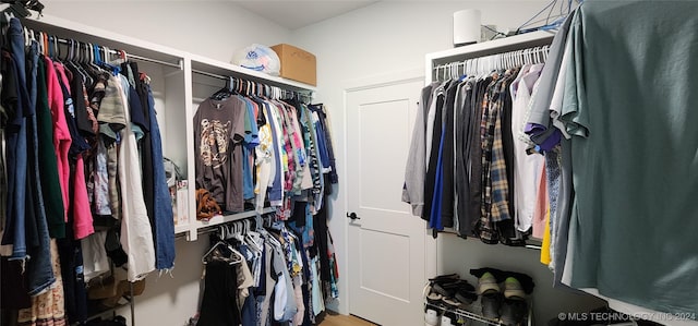 view of walk in closet