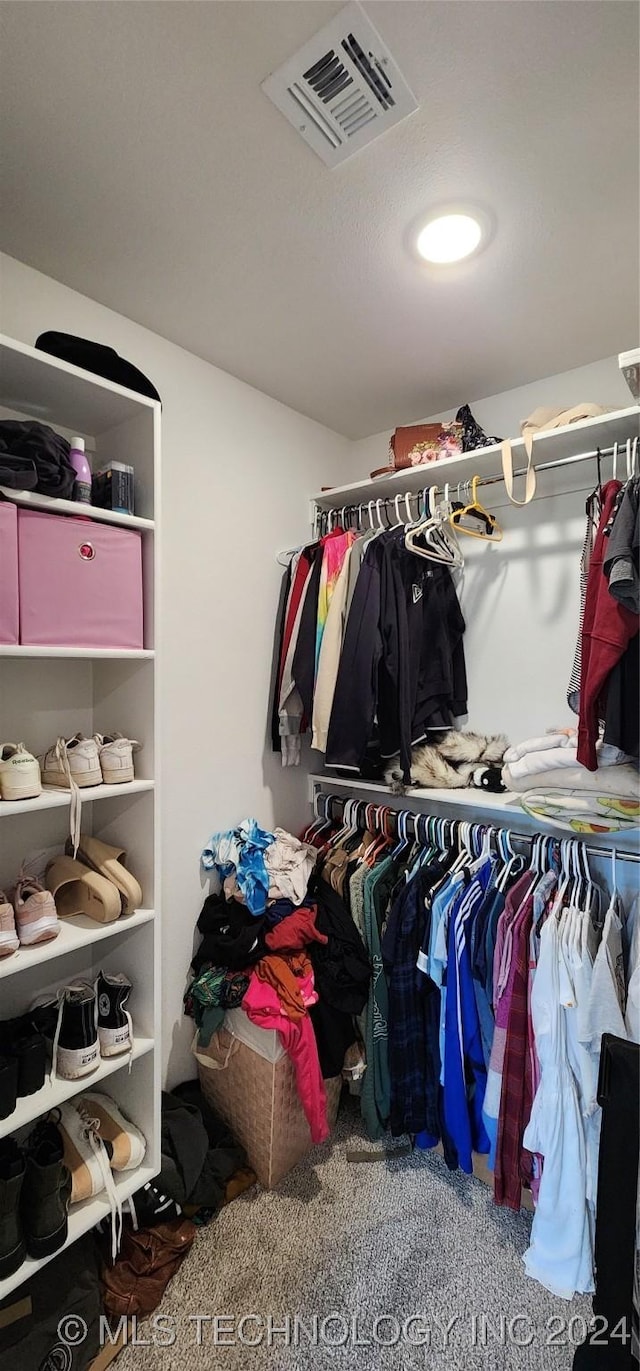 spacious closet with carpet flooring