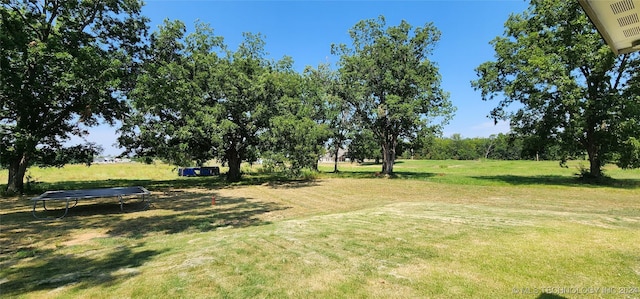 view of yard featuring a trampoline