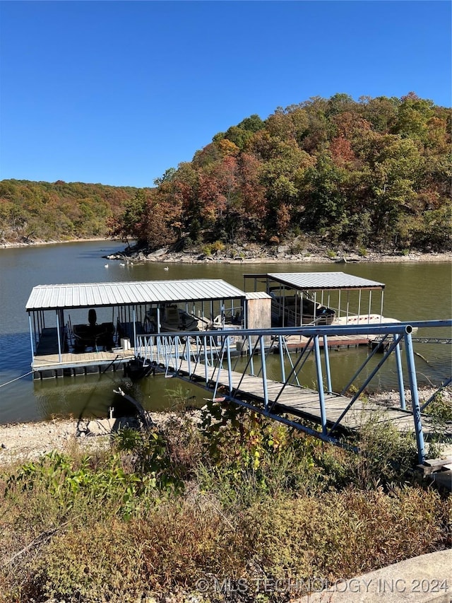 dock area featuring a water view