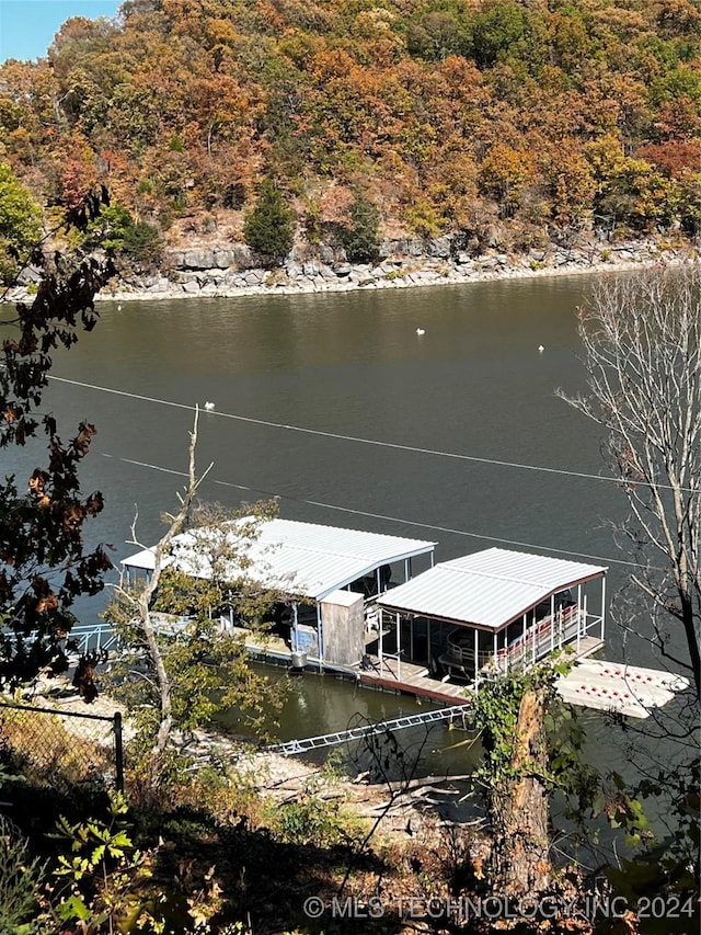 dock area with a water view