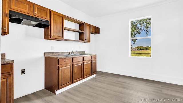 kitchen featuring light wood-type flooring and sink