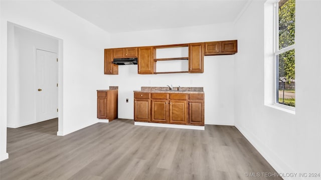 kitchen featuring sink and light hardwood / wood-style floors