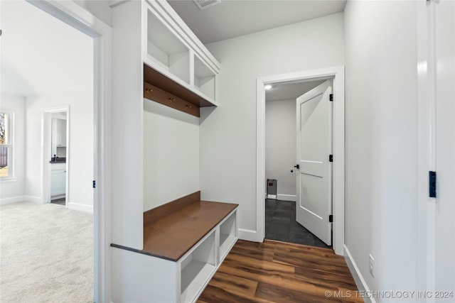 mudroom with dark hardwood / wood-style floors