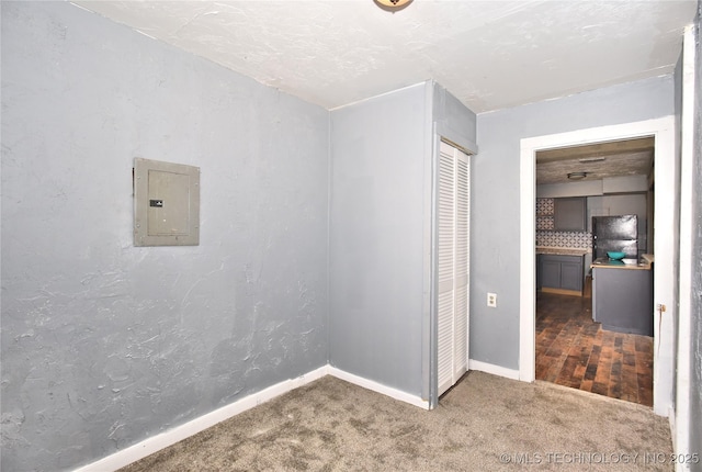 interior space featuring electric panel, carpet flooring, and a closet