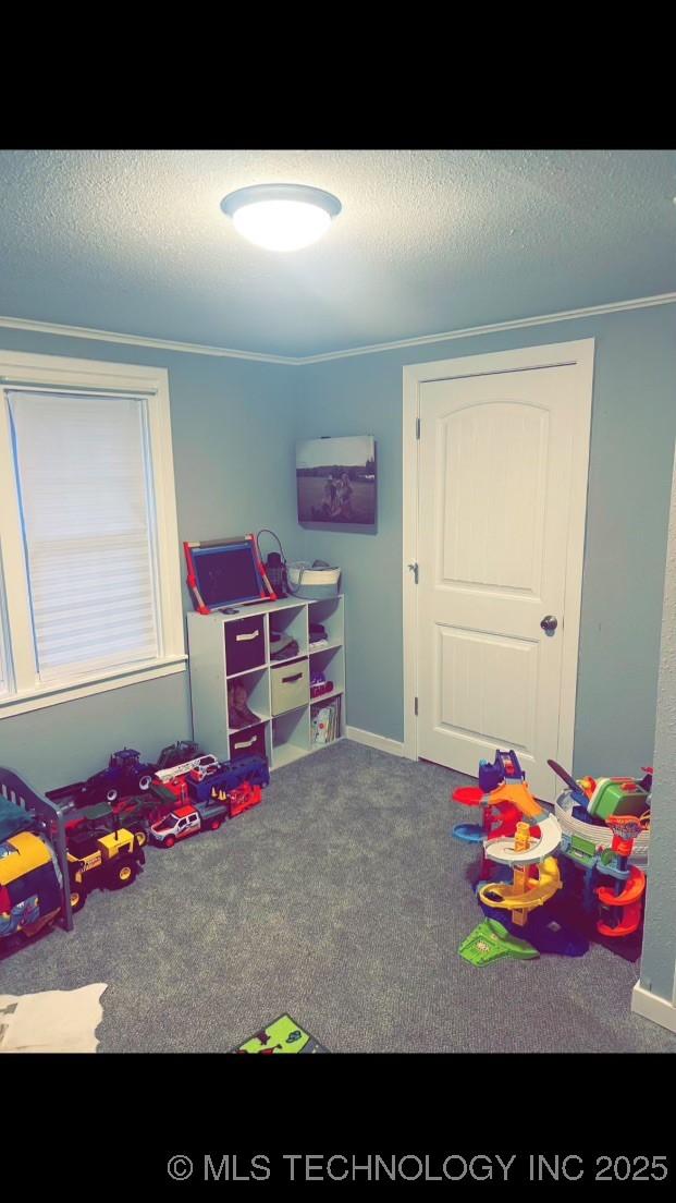 bedroom featuring crown molding, carpet flooring, and a textured ceiling