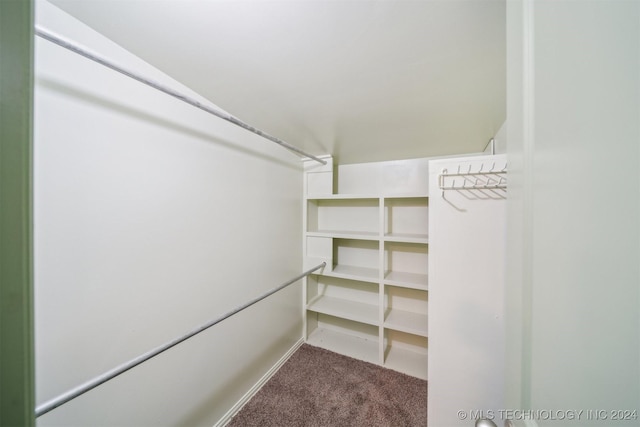 spacious closet featuring carpet flooring