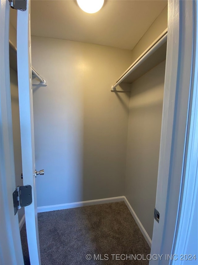 walk in closet with carpet floors