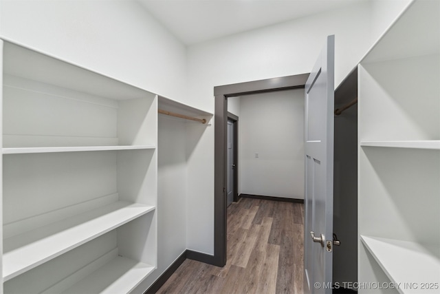 spacious closet featuring dark wood-style flooring