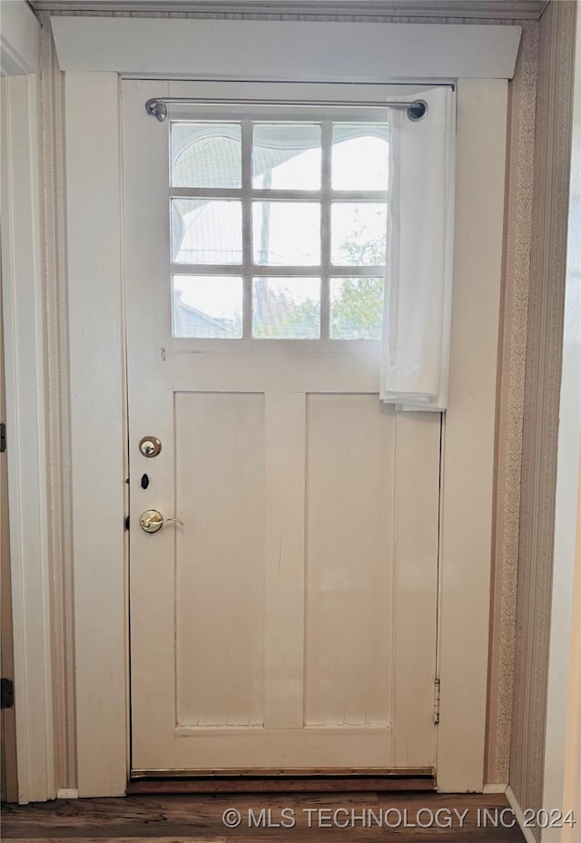 entryway with plenty of natural light and dark wood-type flooring