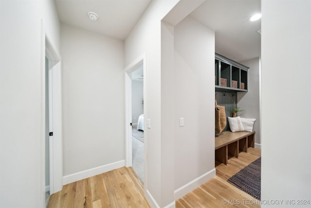 hallway featuring wood-type flooring