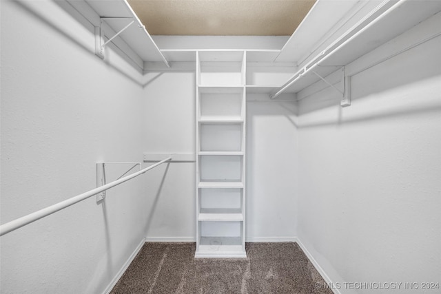 walk in closet with dark colored carpet