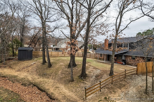 view of yard featuring a patio and a shed