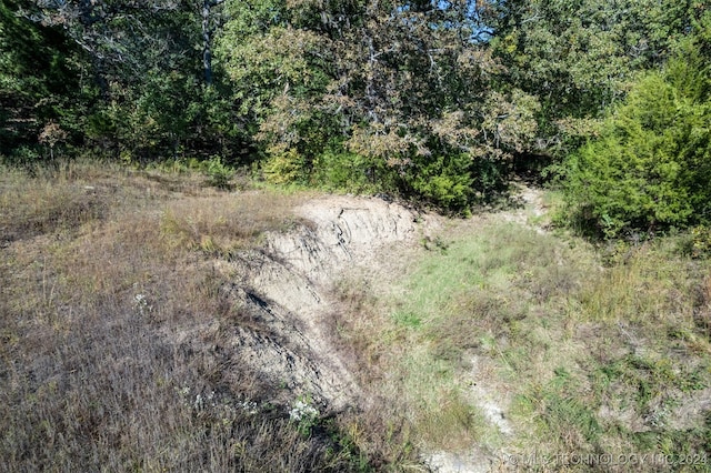 view of local wilderness