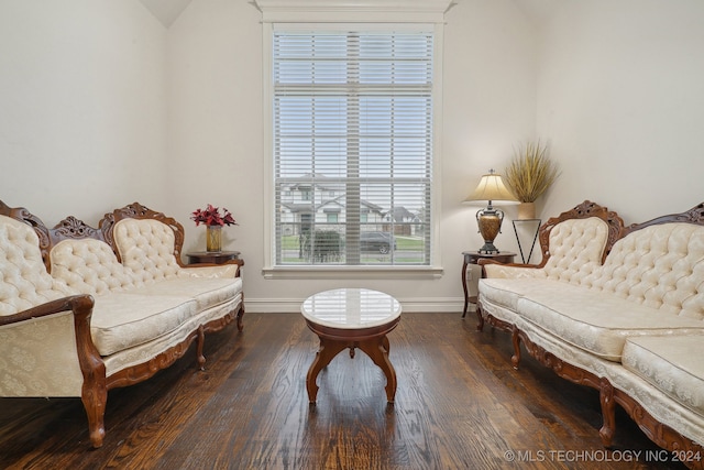 sitting room featuring dark wood-type flooring