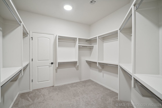 spacious closet with light colored carpet