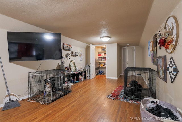 living room with wood-type flooring and a textured ceiling