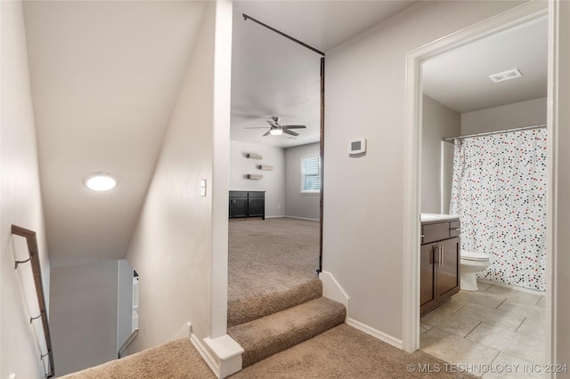 stairway with ceiling fan and carpet floors