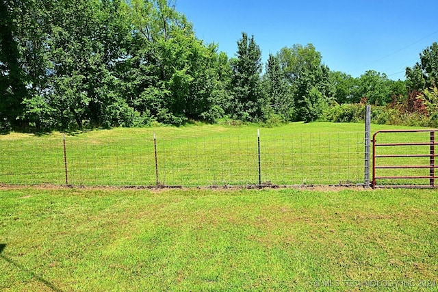 view of yard with a rural view