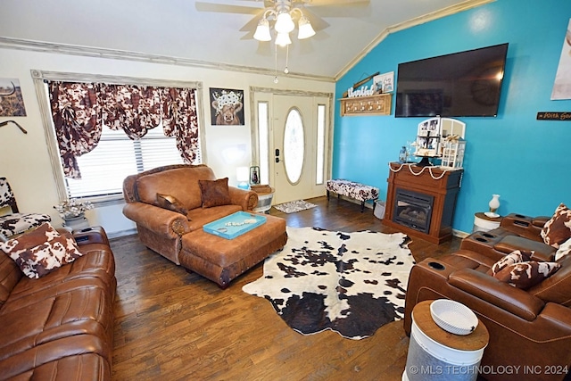 living room featuring ceiling fan, dark wood-type flooring, lofted ceiling, and ornamental molding