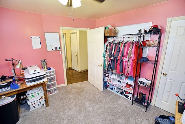 interior space with carpet floors