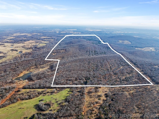 01 S 4570th Rd, Vian, OK 74962 - photo 4