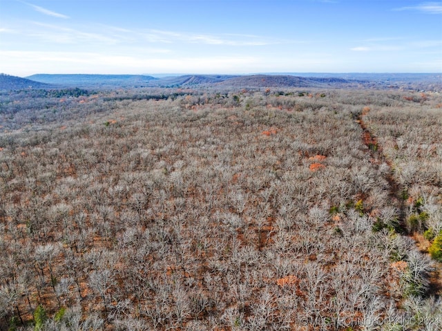 01 S 4570th Rd, Vian, OK 74962 - photo 9