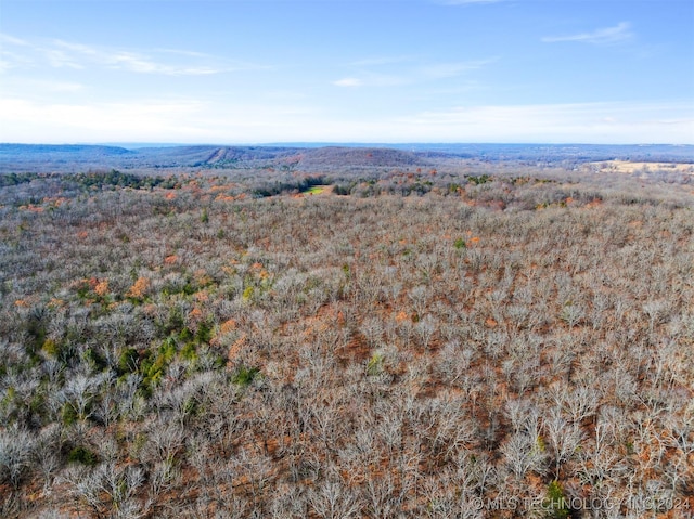 01 S 4570th Rd, Vian, OK 74962 - photo 10