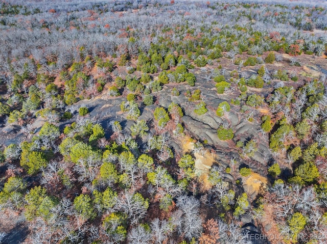 01 S 4570th Rd, Vian, OK 74962 - photo 16