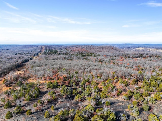 01 S 4570th Rd, Vian, OK 74962 - photo 17