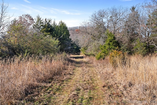 01 S 4570th Rd, Vian, OK 74962 - photo 28
