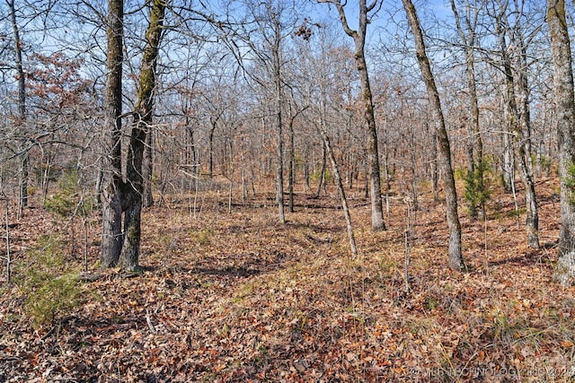 01 S 4570th Rd, Vian, OK 74962 - photo 21