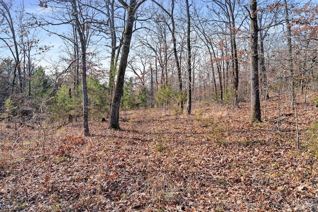 01 S 4570th Rd, Vian, OK 74962 - photo 22