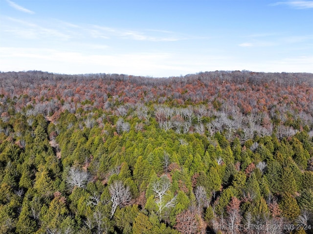 01 S 4570th Rd, Vian, OK 74962 - photo 33