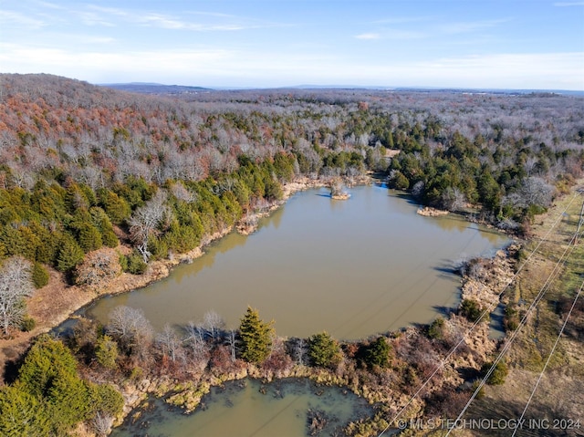 01 S 4570th Rd, Vian, OK 74962 - photo 34