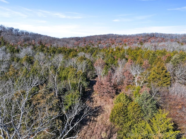 01 S 4570th Rd, Vian, OK 74962 - photo 35