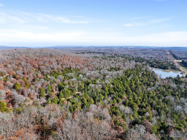 01 S 4570th Rd, Vian, OK 74962 - photo 36