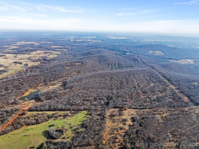 01 S 4570th Rd, Vian, OK 74962 - photo 39